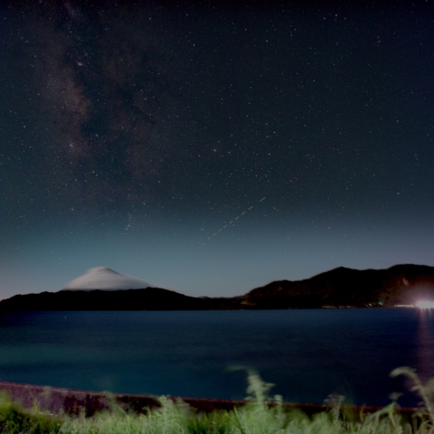 ホワイト薩摩富士