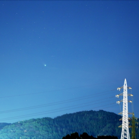 夕方のレナード彗星