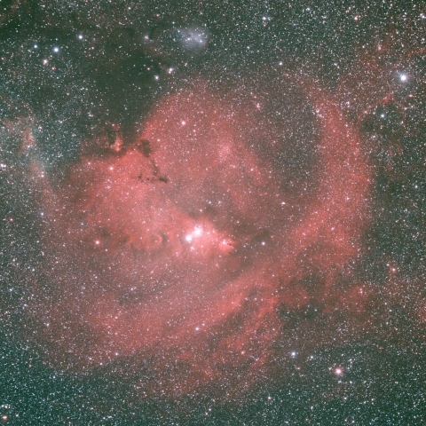 クリスマスツリー星団付近