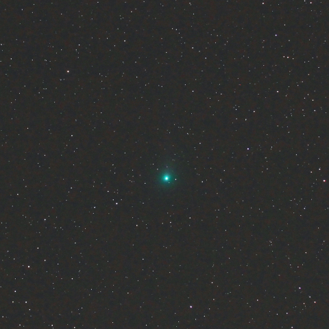 ラブジョイ彗星