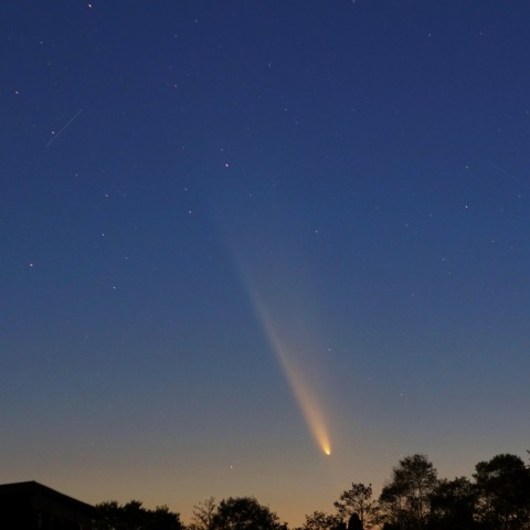 紫金山アトラス彗星