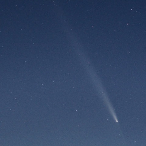 紫金山アトラス彗星