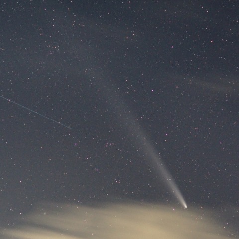 紫金山アトラス彗星
