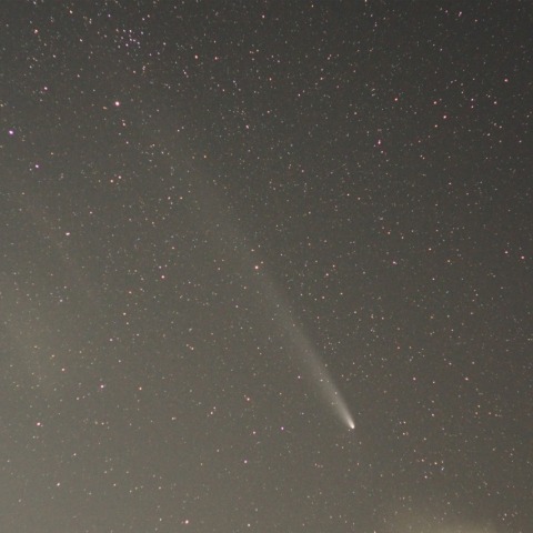 紫金山アトラス彗星