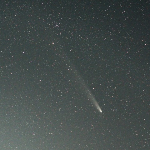 紫金山アトラス彗星