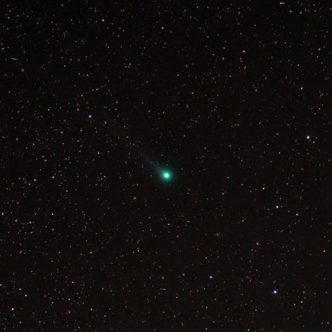 ラブジョイ彗星