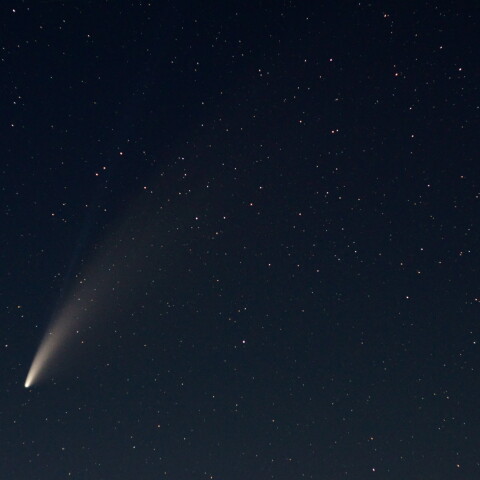 ネオワイズ彗星