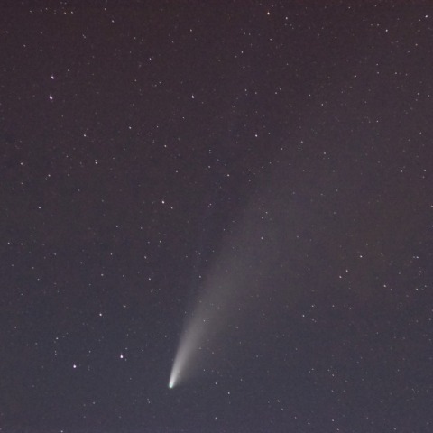 ネオワイズ彗星