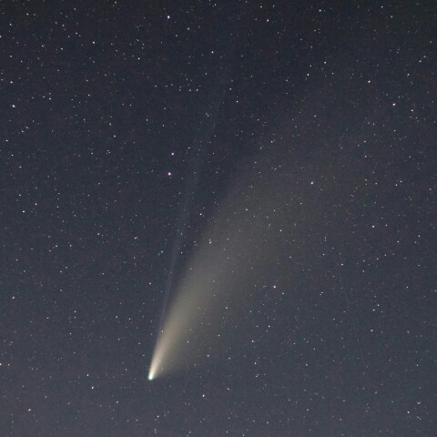 ネオワイズ彗星