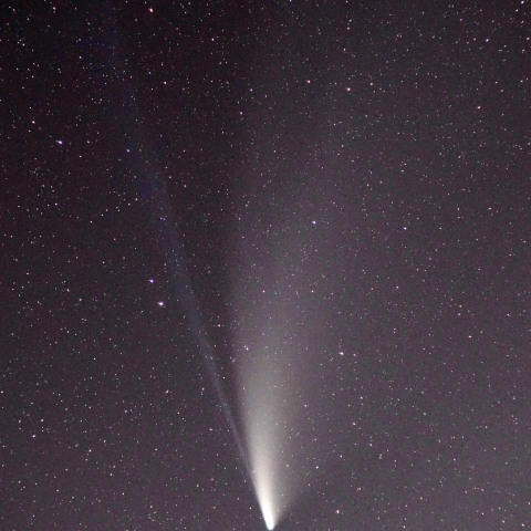 ネオワイズ彗星