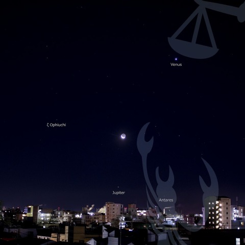 冬の夏の星座