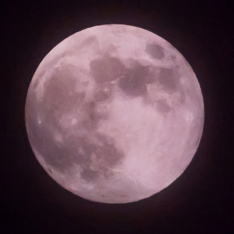 ストロベリームーン(6/5)