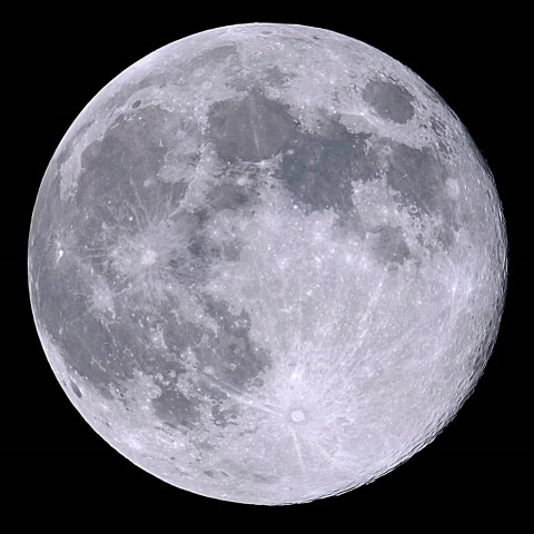 コールドムーン