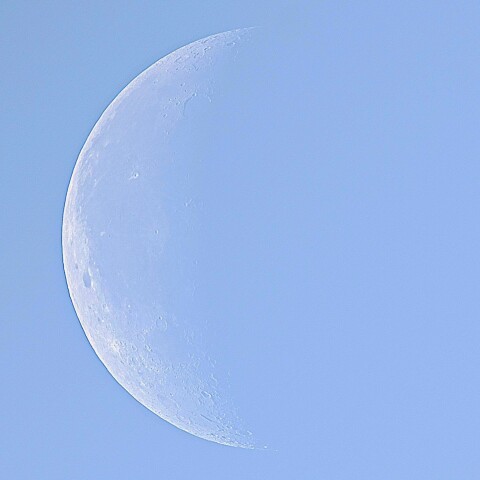 👀　おひさしぶり~🌗