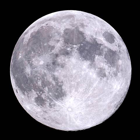 コ－ルドム－ン