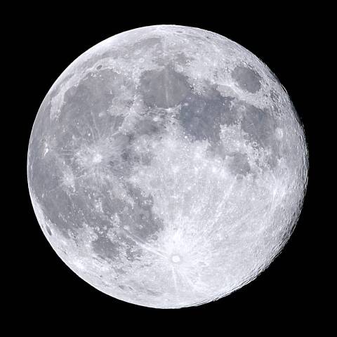 蒼い空…優雅にウルフム＿ン