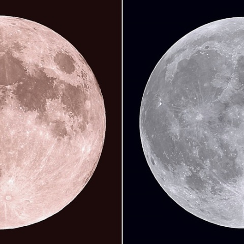 🍷ほんのり染まりました