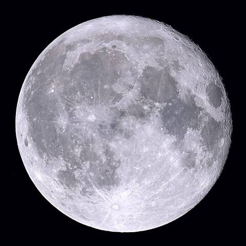 フラワームーン