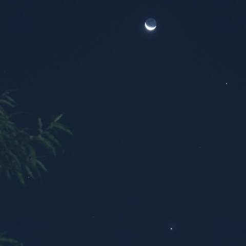 未明の🌙と星たち