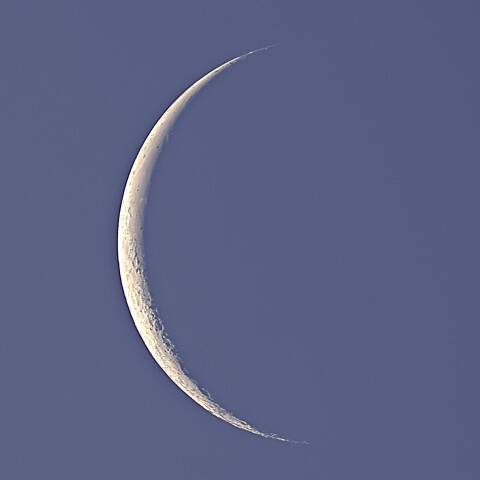 靄に包まれた🌙