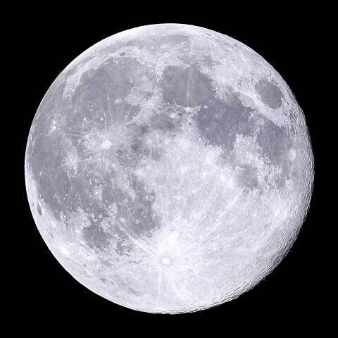 ロングナイトム-ン