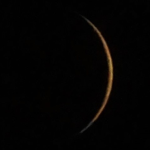 細いシルエット