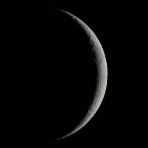 月齢3.1コンポ試行