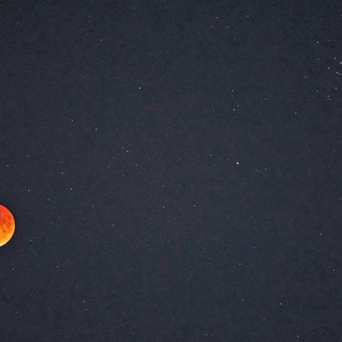 月食に集うプレセペ