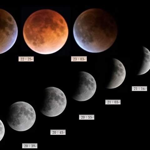 始まりは突然に