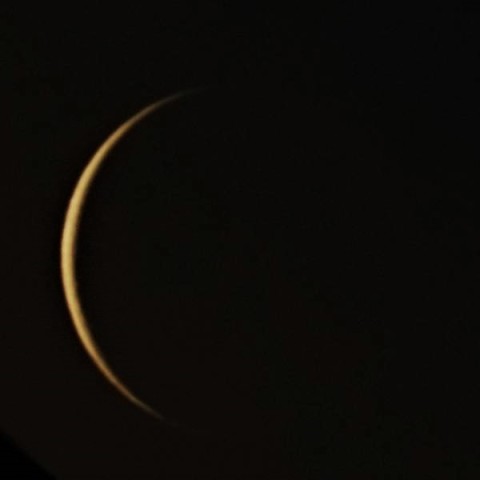 艶やかなシルエット