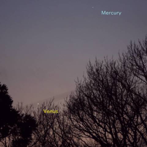 水星さん初対面ね❆