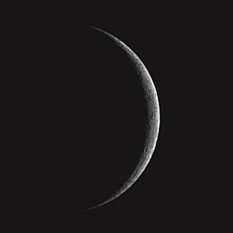 モデルのような立姿