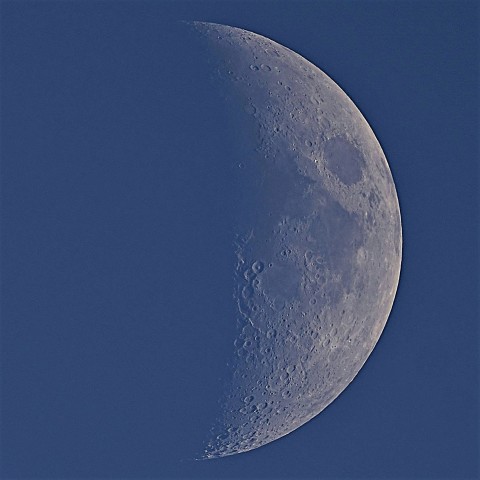 待ちきれず白昼の月