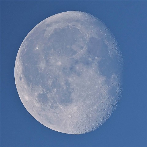 夜明けの白い月