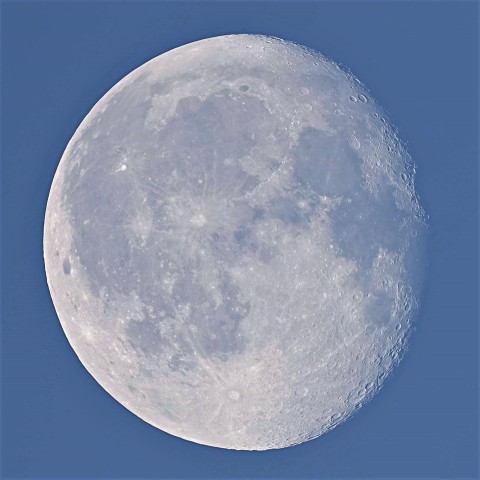 夏の朝日に映える白い月