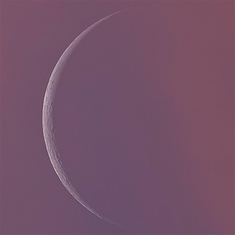 朝焼けに染まるアルテミス