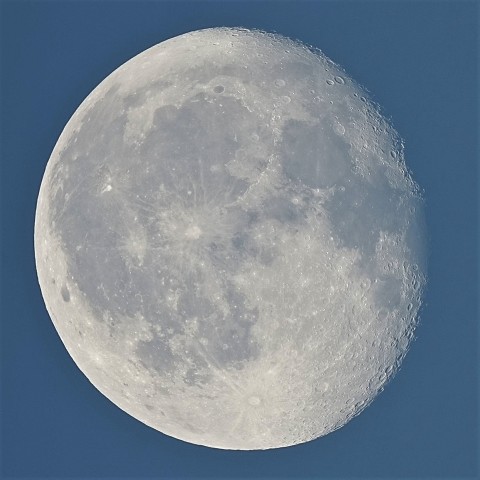 🔭朝露に濡れて撮る白い月