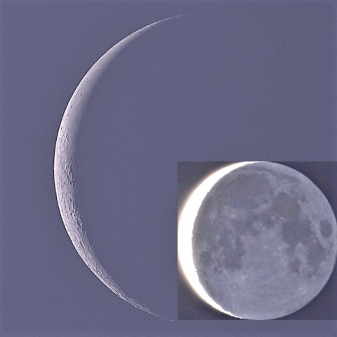 シルバーグレー高貴な姿