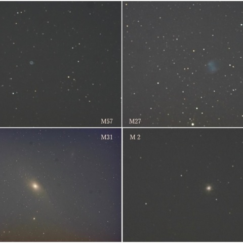 わ～い、ドーナツとアレーがわかる♡