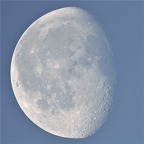 名称　亥中の月~白い月