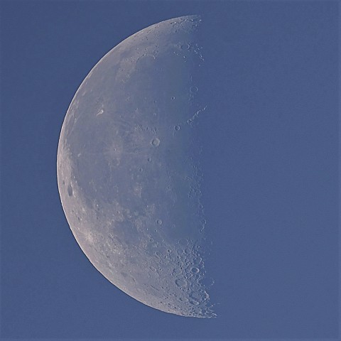 半分の月（弓張り月）