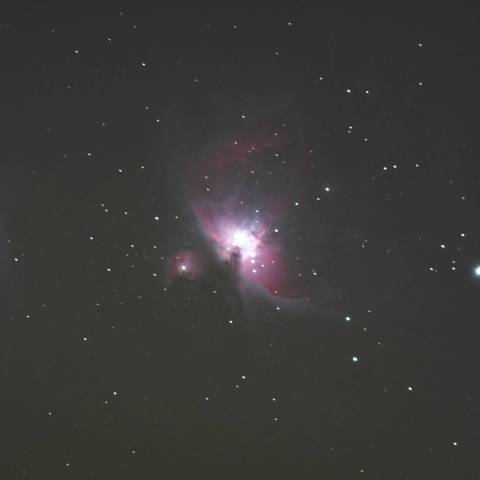 鳥が羽ばたいている！初大星雲