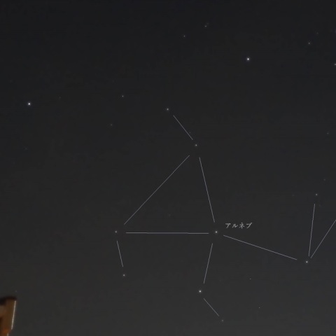 笑顔になる愛らしい🐇さん