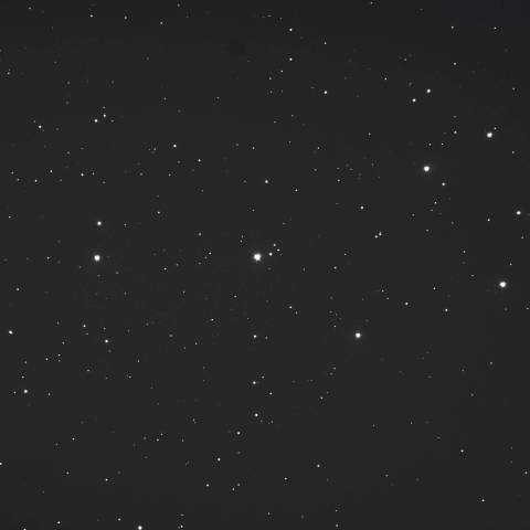 冬の星座を先導する・すばる