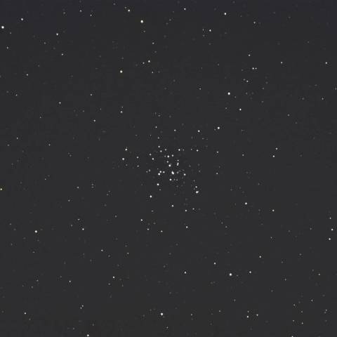 橙色の星が素敵　M36