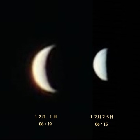 ベツレヘムの星ーvenus✨