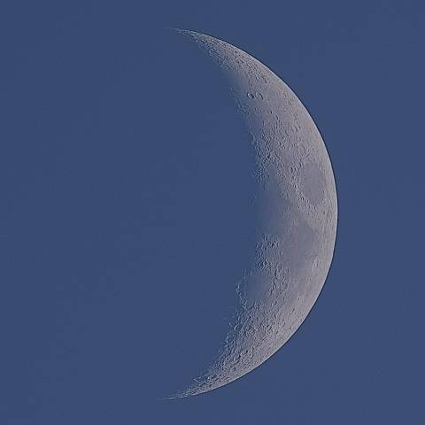 昼の顔　優雅な白い月