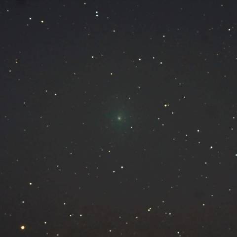 2018-12-31のウィルタネン彗星