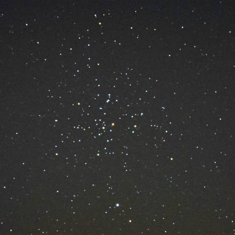 冬の星団の中の代表の1つ・M41