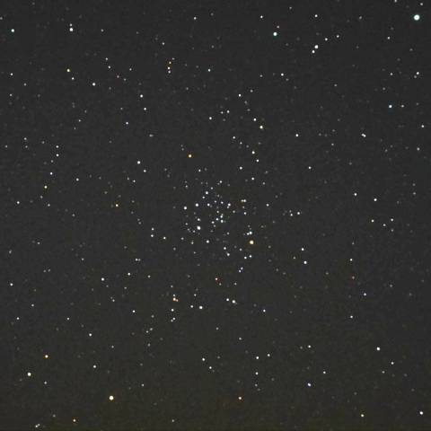 ユニコーンのM50